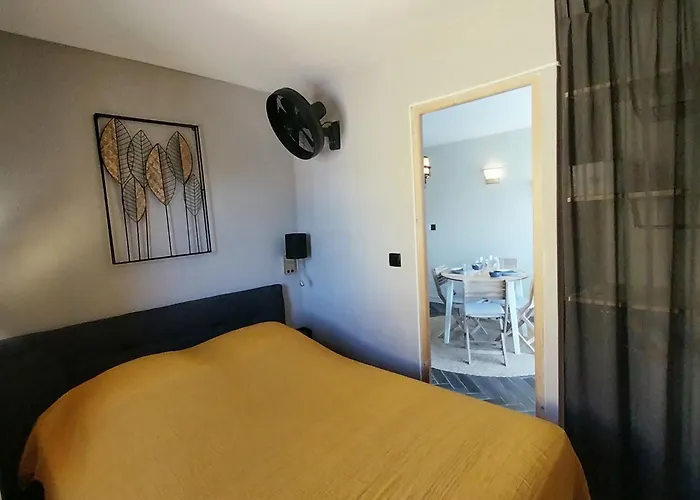 公寓 Coquet T2, Wifi Et Parking, 纳博讷普拉日